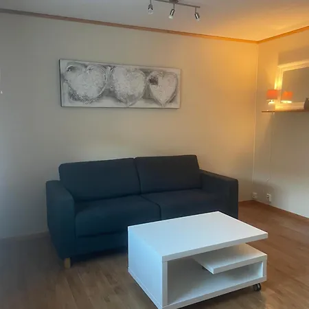 Plassevegen 2 Apartment